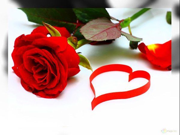 Любов до тебе назавжди