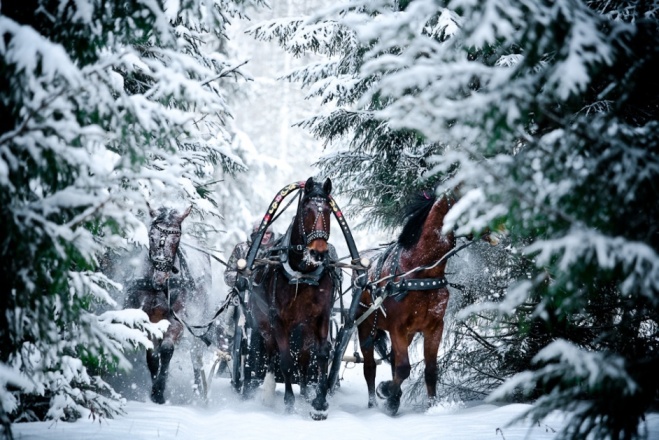 Сказка диво принесла!