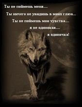Одинокая волчица. Боль
