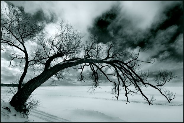 Не бывать в Раю