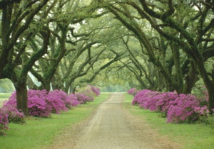 Любителю провокаций