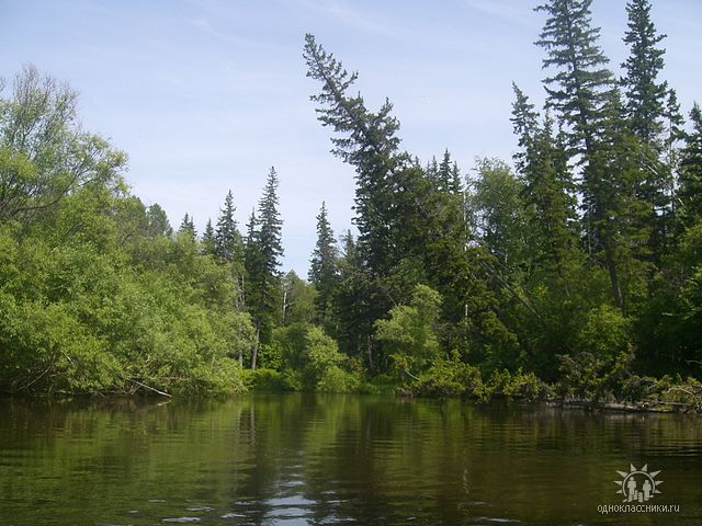 Дом детства