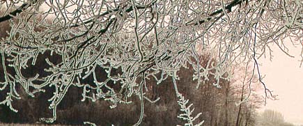 дежавю дождя