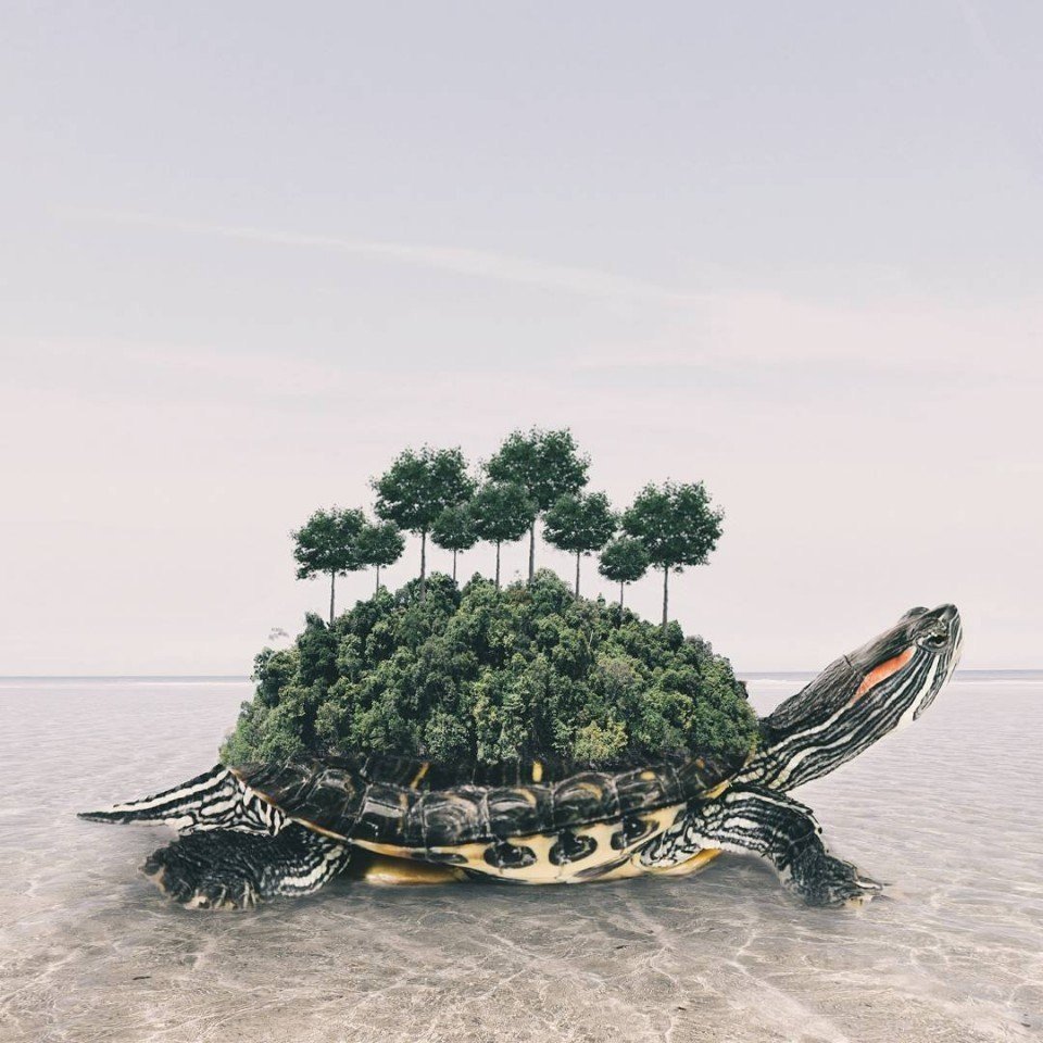 Умножить жизнь...