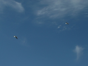 Ты говори мне о любви