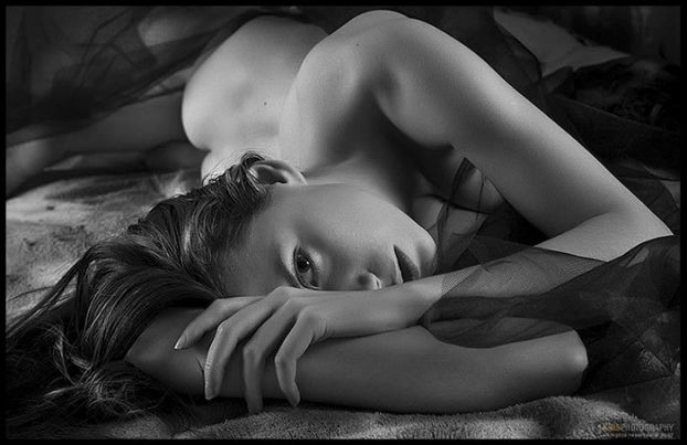 Под лучом восходящего солнца проснулся...