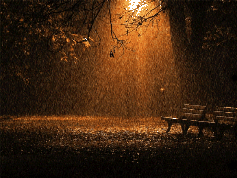 Осенний Дождь В Городе Фото