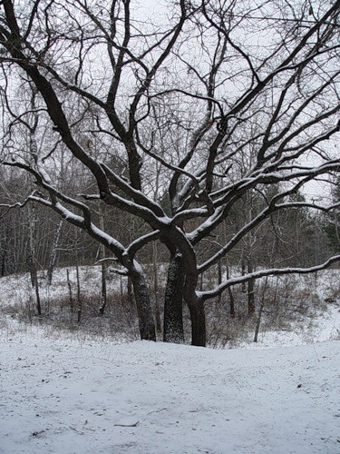 18 февраля-день рождения деда. Свет памяти. 2