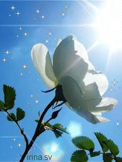 Преумножай любовь