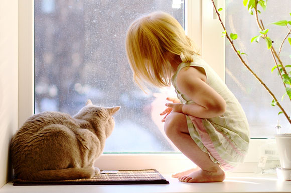 Кошка и апрель