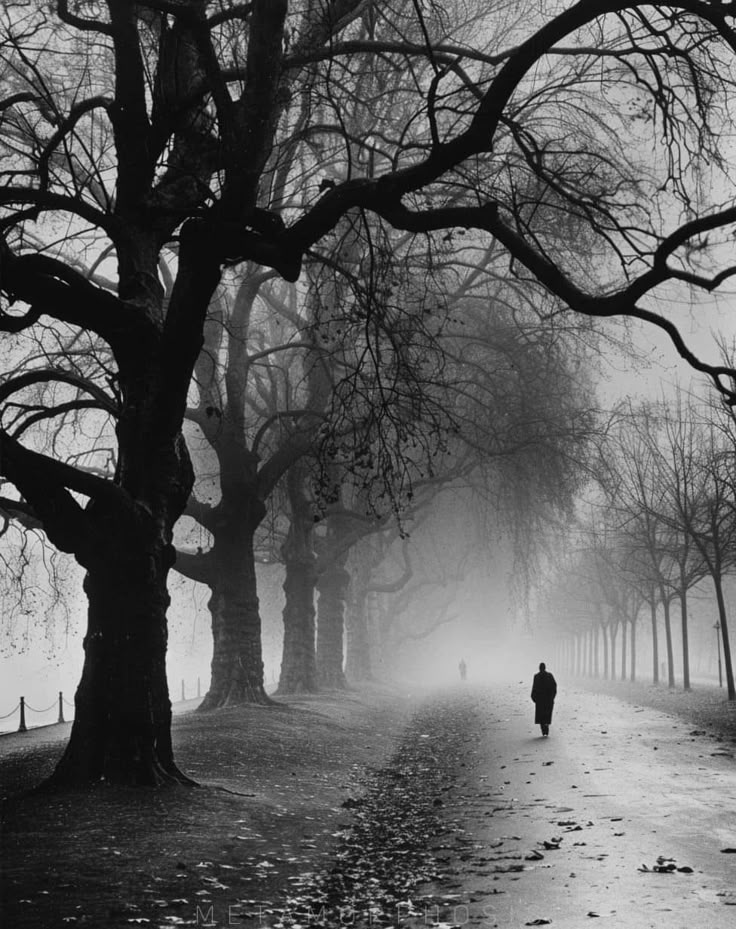 Я непреклонно шёл к тебе