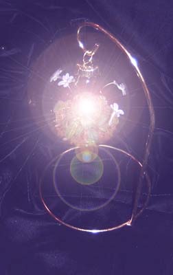 Сон-сонет от фиалок - Татьяне Прялкиной