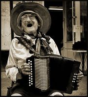 Я играю на баяне