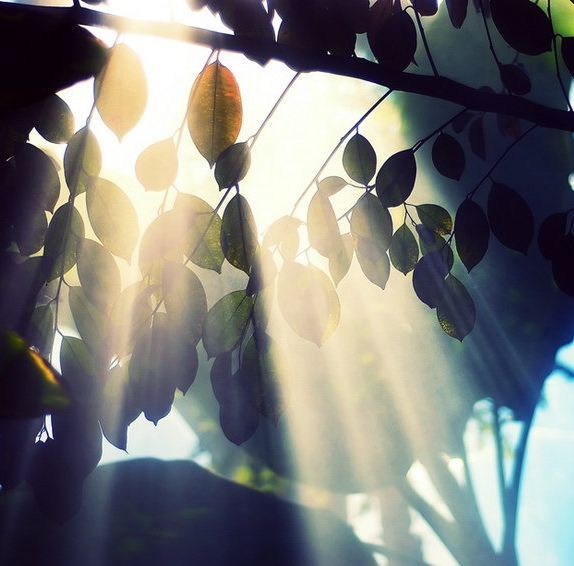 Если сердце с тоской застучало