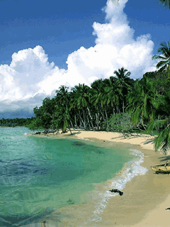 океан света