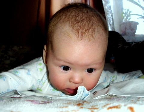 Материнство