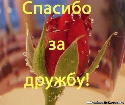 Татьяне Казаковцевой