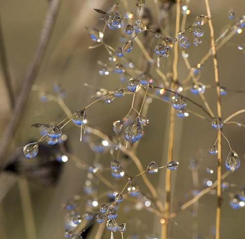 Ах, осень, сон мой