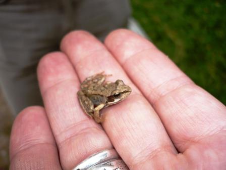 Не держу тебя, мой мальчик