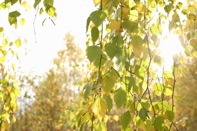 Что такое одиночество...