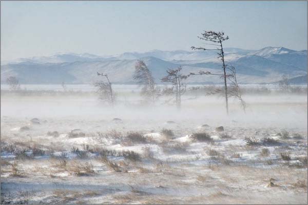 хокку ожидания сармы