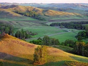 Залитые солнечным светом