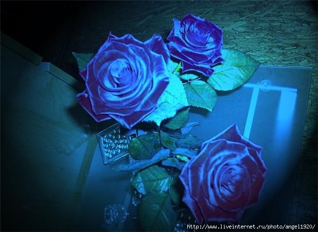 Будет новый вечер...