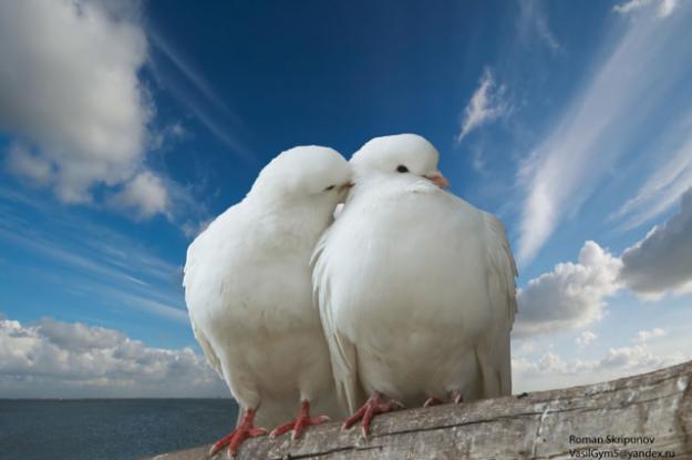 Новый день я начинаю...