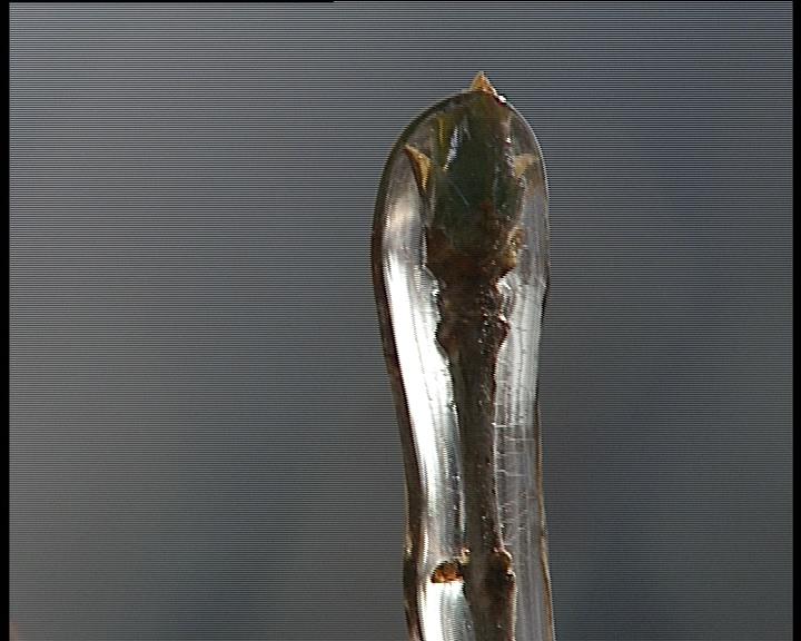 Как, весна - без конца?!