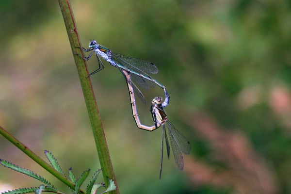 Наигрались...