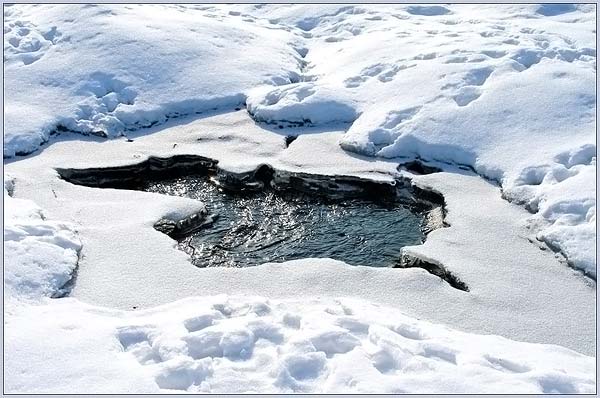 Весну смотрю по солнцу и по ветру...