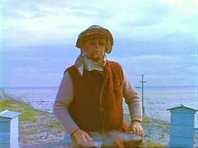 Старый пасечник