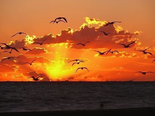 Побег от любви в никуда...