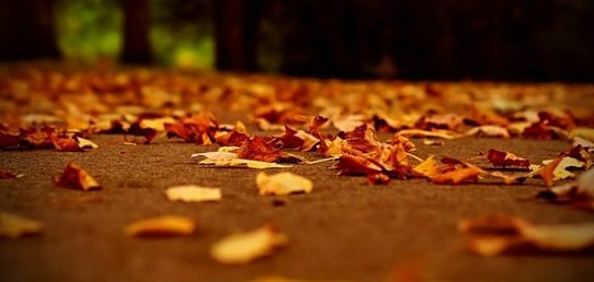 Желтое, красное