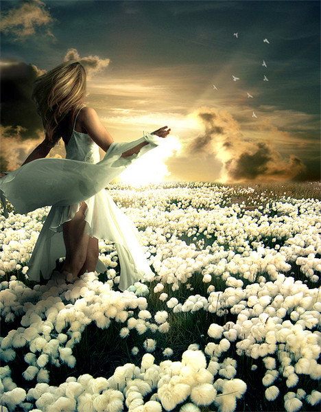 Люблю, а значит я живу