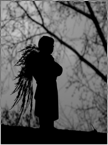 останусь веткой обглоданной, и не заметят перемен