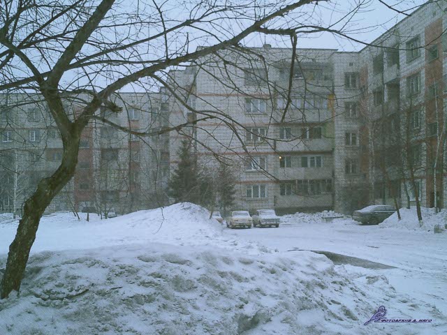 Мозаика мартовской вьюги