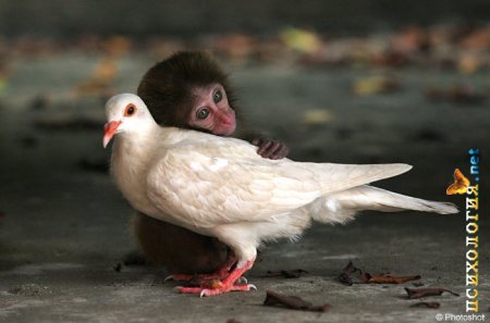 Всегда есть кто-то, кому хуже, чем тебе