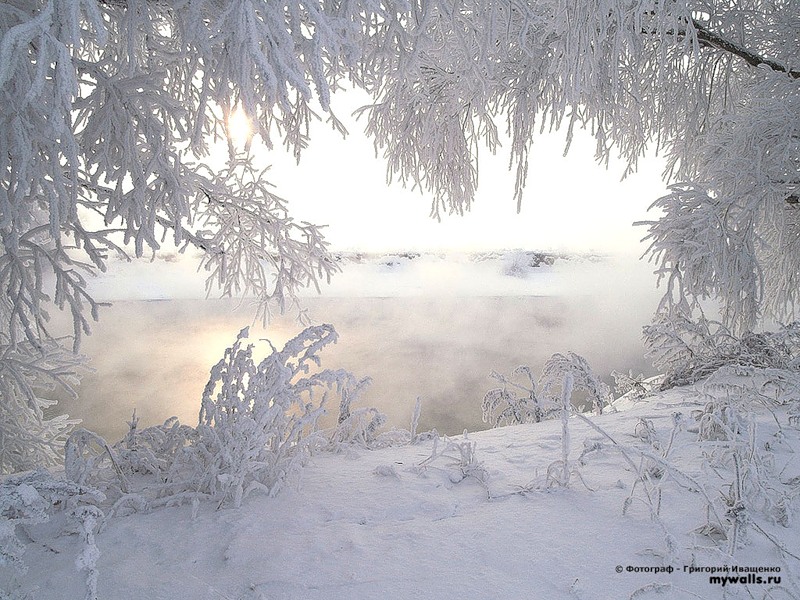 Чудесная картина