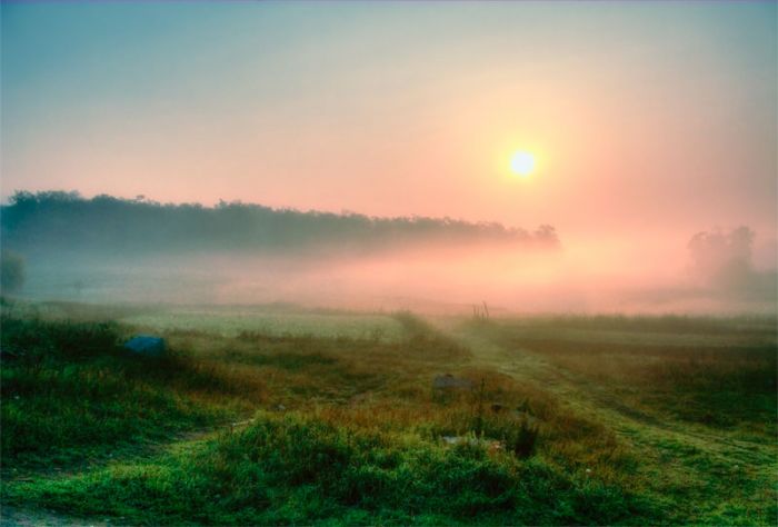 Утро - Наташе