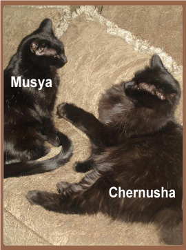 И в грёзах я, Друзья, мечтаю