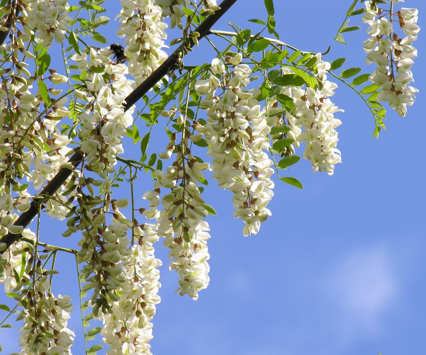 модная одежда