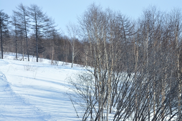 Окликая любовь