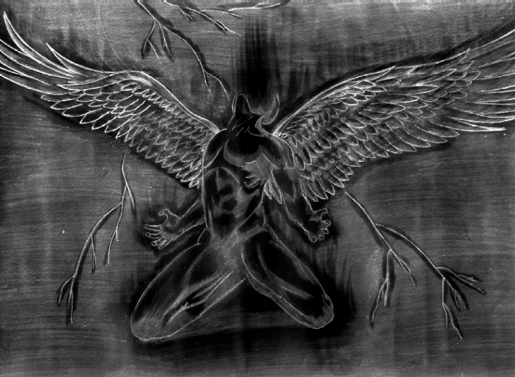 кружатся вороны. черные вороны. ворон principalis. белоклювый ворон. черный ворон надо.