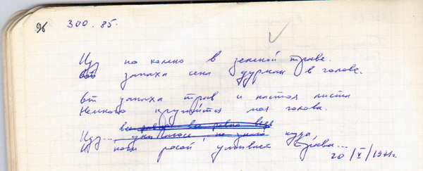 300 Иду по колено в зеленой траве