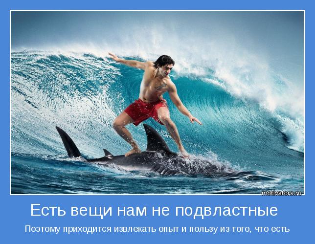 Лови удачу