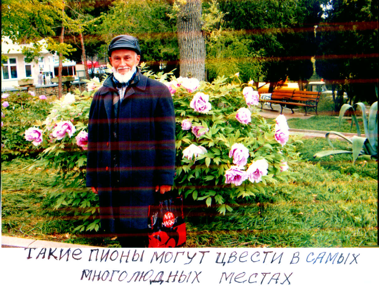 Южный берег Крыма