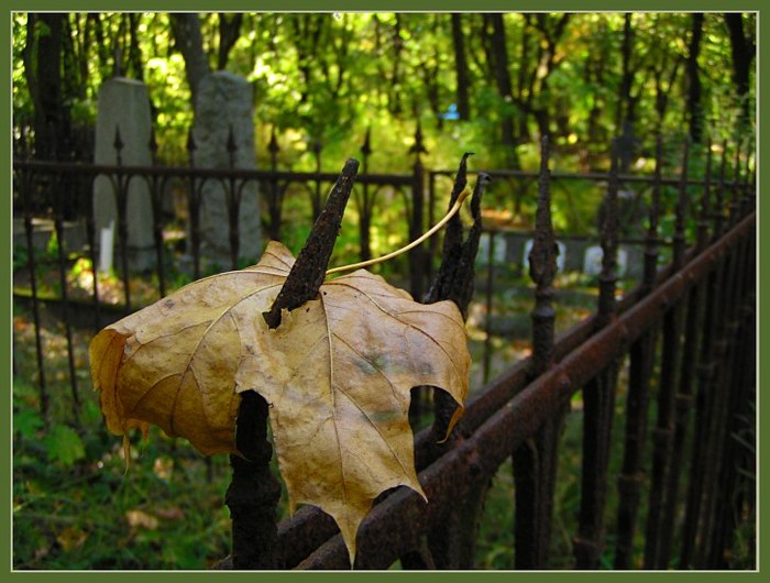 Спутник