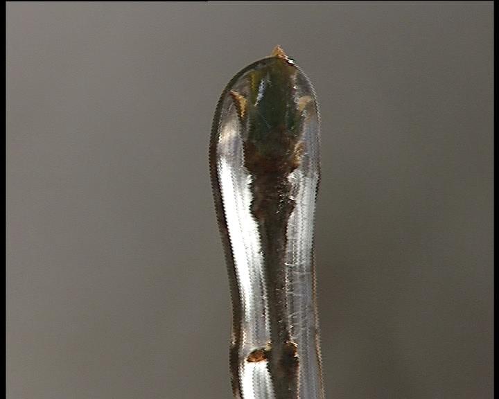 Шелестящая тихо пора