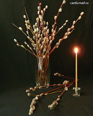 Богу, восхваляю, я свою хвалу